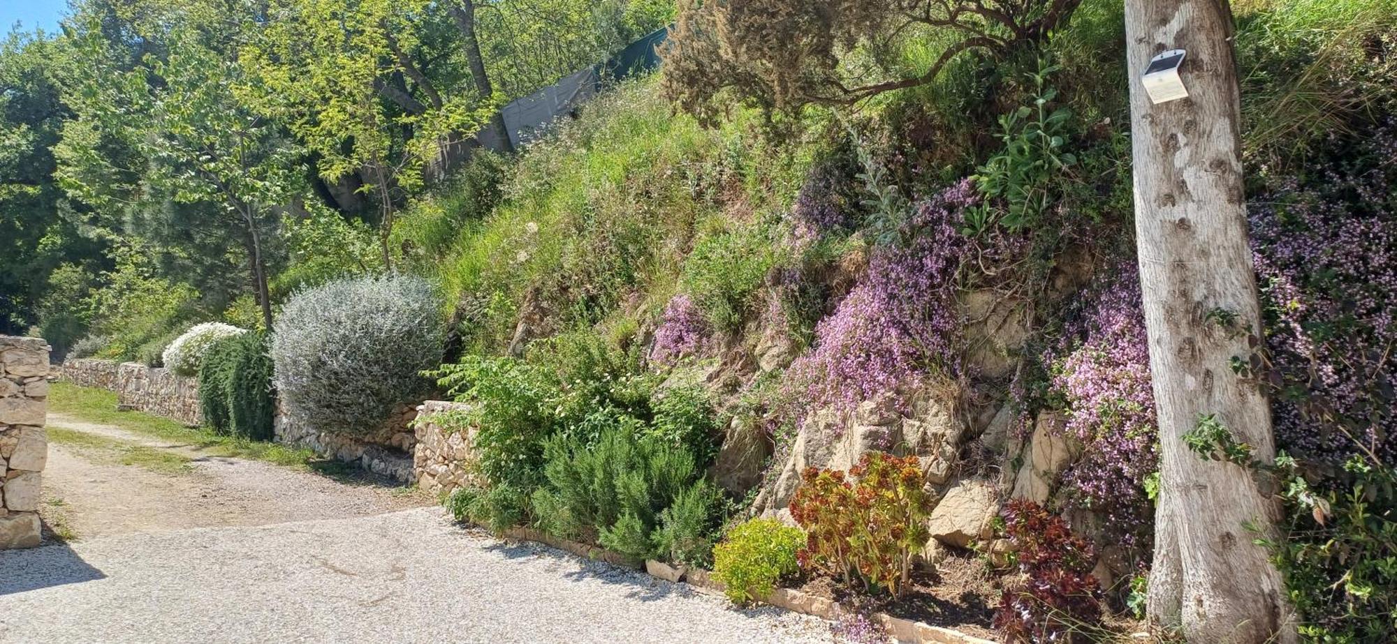 Le Domaine De La Feuilleraie Coaraze Exterior foto